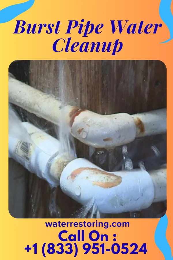 Burst Pipe Water Cleanup in Parcoal, WV