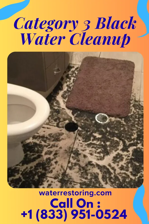 Category 3 Black Water Cleanup in Parcoal, WV