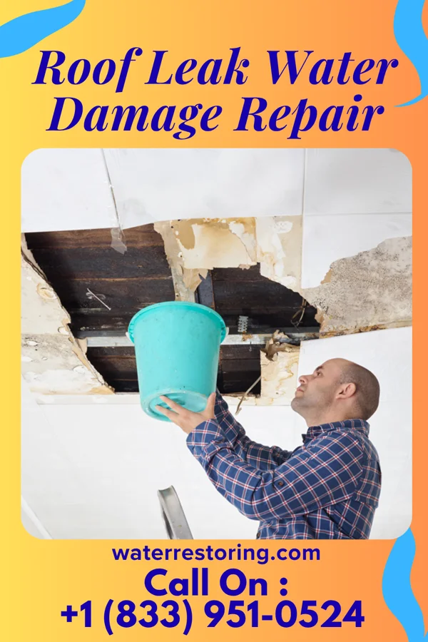 Roof Leak Water Damage Repair in Parcoal, WV