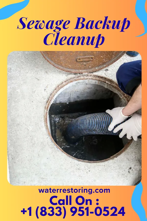 Sewage Backup Cleanup in Parcoal, WV