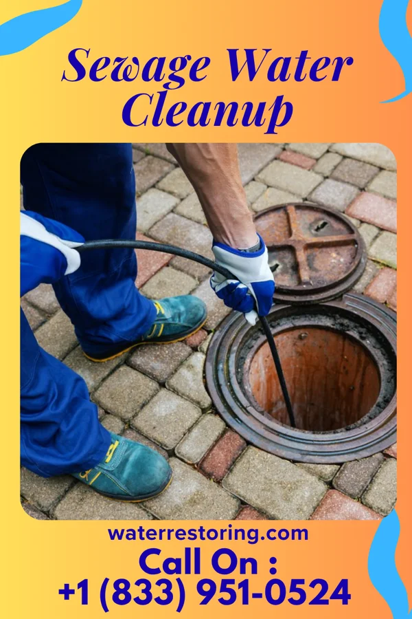 Sewage Water Cleanup in Parcoal, WV