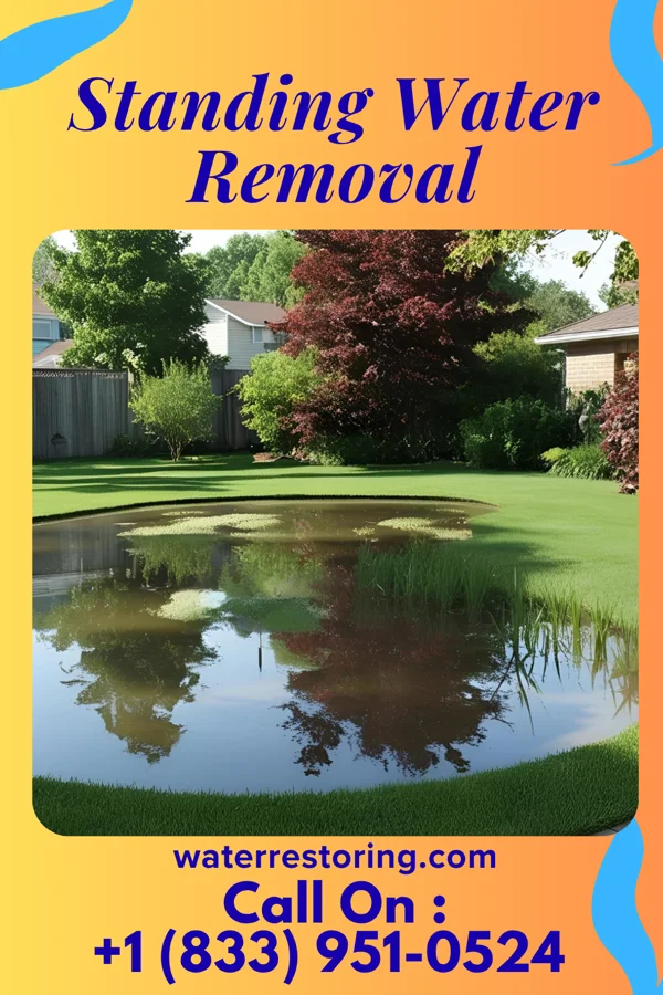 Standing Water Removal in Parcoal, WV